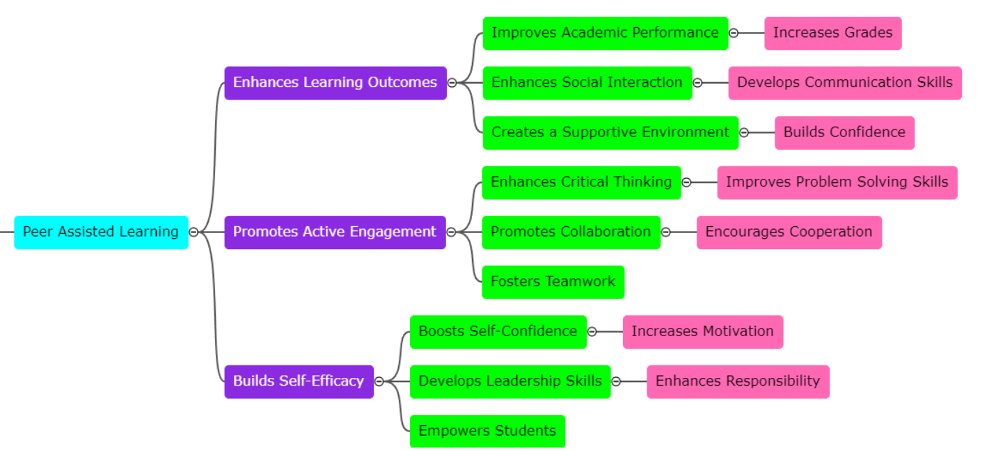 PEER ASSISTED LEARNING mental map